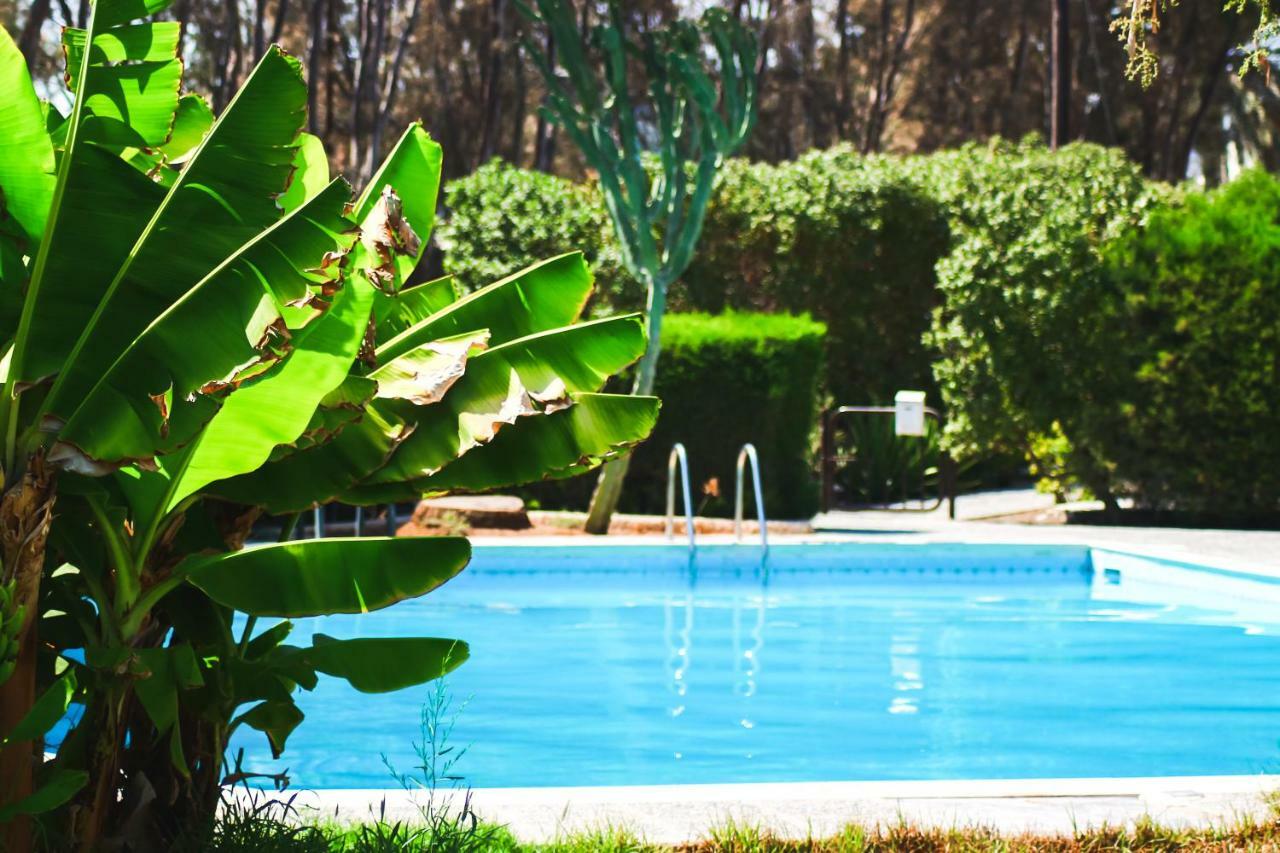 Moon-Light Studio Hotel Larnaca Exterior photo
